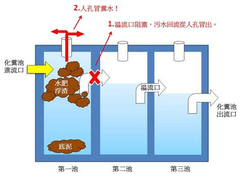 大樓化糞池位置